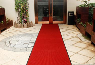 Flat Ring Printed Polypropylene Door Mats With Rubber Back